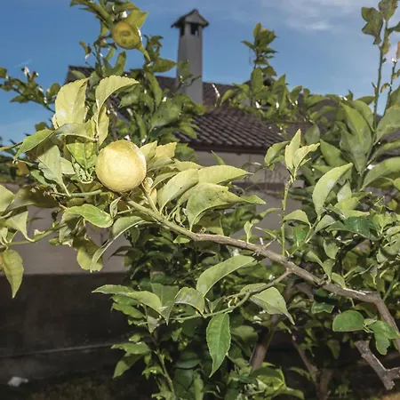 Casa vacanze Roc De San Gaieta